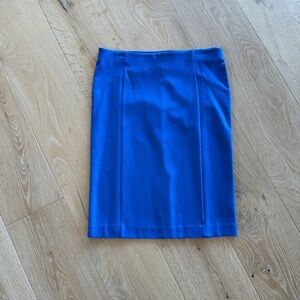 Ann Taylor Pencil Skirt